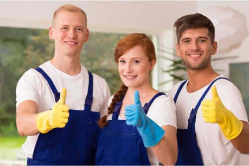 Hiring A Professional For TPO Roof Cleaning