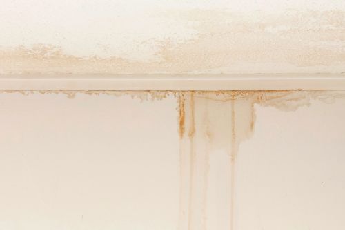 Understanding Water Damage And Roof Leaks