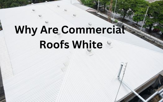 Why Are Commercial Roofs White