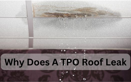 Why Does A TPO Roof Leak